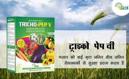 ट्रायकोडर्मा विराइड अँटी फंगल जैव खत (1 किलो)
