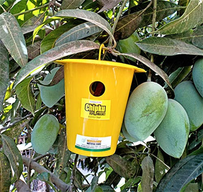Chipku Pheromone ECOMAX Trap for Fruit Fly On Fruit Plants (Bactocera dorsalis) (Outdoor use) 2 Traps + 2 Lures