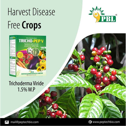 Tricho Pep V (3KG) - (Buy 2KG & Get 1KG Free) | Trichoderma Fungicide for Plants | Biofungicide for Plants | Bio Pesticide for Soil