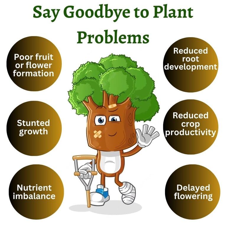 POTASSIUM BIOFERTILIZER - POTASSIUM MOLIBILIZING BACTERIA -ORGANIC FERTILIZER