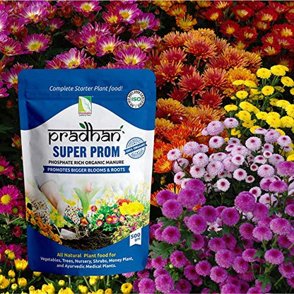 Green Paradise Super Prom Organic Fertilizer Granule by Pradhan-Pack of 5(2500 Gram)