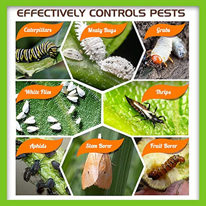 Tired of Pests Attacking Your Growing Crops? Discover OrganicDews Beauveria Bassiana!