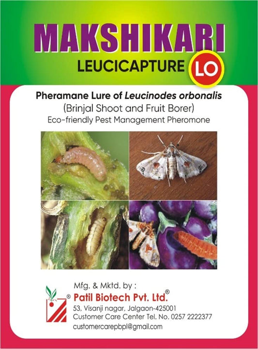 PATIL BIOTECH PRIVATE LIMITED Makshikari Leucicapture + Delta Trap (Set of 10) for Brinjal Fruit & Shoot Borer (Egg Plant Pheromone Lure)