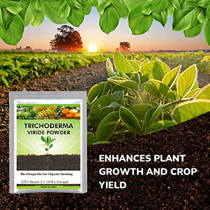 Organic Trichoderma Viride (1.5% W.P.: 2 x 10^6-10^8 CFU/gm)- 5 Kg