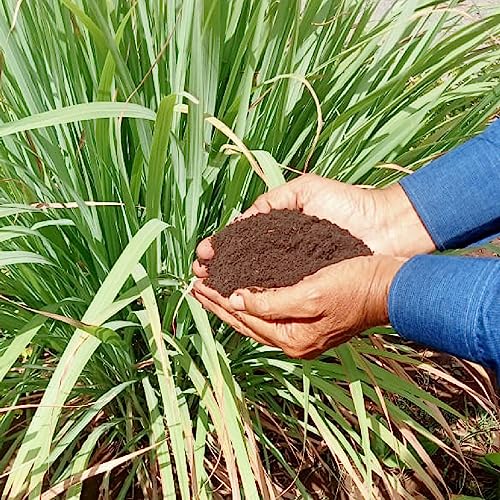Eco Field Organic Manure | Mushroom Based Composite Fertilizer | 10 Kg | Boosts Plant Health | 100% Organic