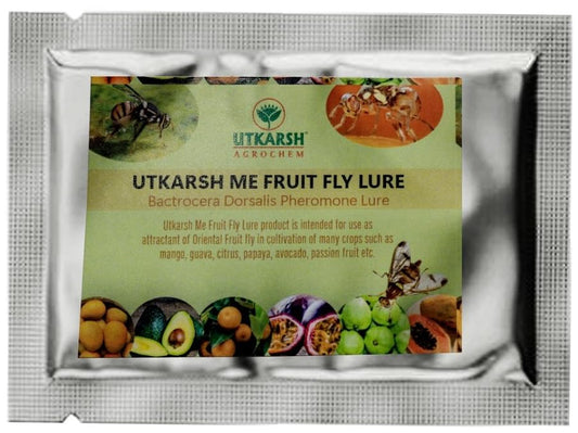 get rid of fruit flies