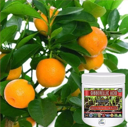 Erwon® Gibberellic Acid, Premium Essential Powerful Organic Growth booster for Plants(10 gm)