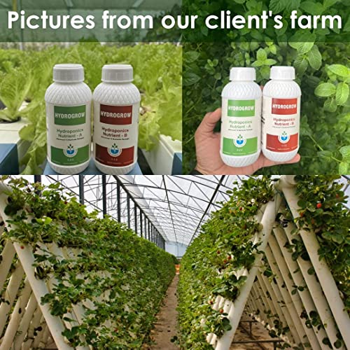 Garden Genie Organic Root Power Liquid VAM Fertilizer (100ml), General Hydroponics Nutrients A&B (250 ml Each) & Clay Balls for plants (900g) - Aeroponics, Agriculture, Aquaponics & Hydroponic Systems
