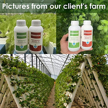Garden Genie Organic Root Power Liquid VAM Fertilizer (100ml), General Hydroponics Nutrients A&B (250 ml Each) & Clay Balls for plants (900g) - Aeroponics, Agriculture, Aquaponics & Hydroponic Systems