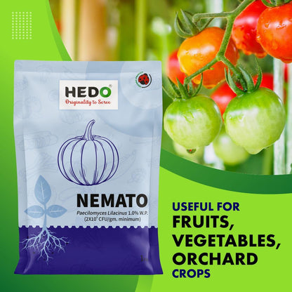 HEDO नेमाटो (पैसिलोमाइसेस लिलासिनस 2x10^8 CFU/g) जैव-कार्बनिक पाउडर (1Kg) बीज और बगीचे के पौधों के लिए - विभिन्न नेमाटोड के खिलाफ