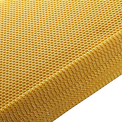 KB Netrue Honey Bee Honey Sheets10-Pece Beeswax Honeycomb Sheets Wax Foundation मधमाशी पालन मधमाश्या मेण शीट बी नेस्ट फाउंडेशन वॅक्स शीट मधमाशी बेड पोळे मध+नेस्ट+बेस (पिवळा-10)