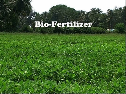 NALPAK Consortia of bio-fertilizers 1 kg