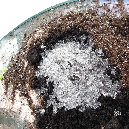 hydrogel for plants