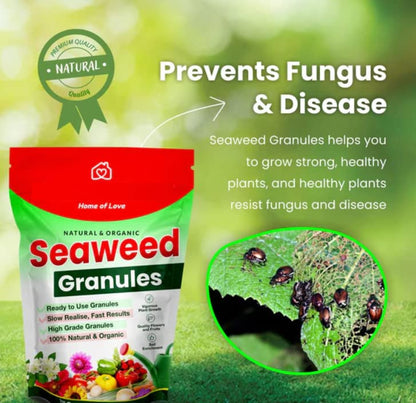 Seaweed Granules Organic Booster, Plant Growth Promoter & Bio-Stimulant (5 KG)