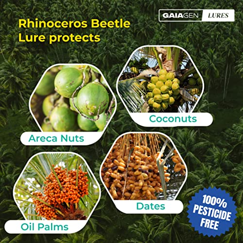 Gaiagen's Rhinoceros Beetle Lure: पाम ट्री विनाश विरुद्ध तुमची नैसर्गिक ढाल!