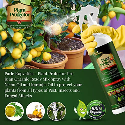 Plant Protector PRO NeemJa Organic Neem Oil and Karanja Oil 500ml for Plants Insects Spray | Neem Oil Spray for Plants Insects Pesticides for Plants in Garden with Spray Bottle and Karanja Oil