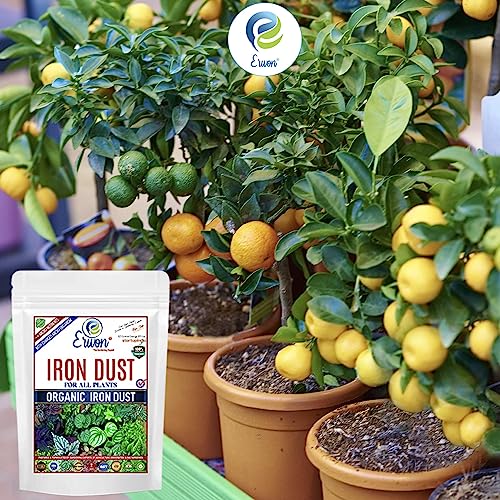 Erwon® Organic Iron Dust for All Plants, Magnetic Iron Oxide Powder for Overall Growth of Plants (200 gm)