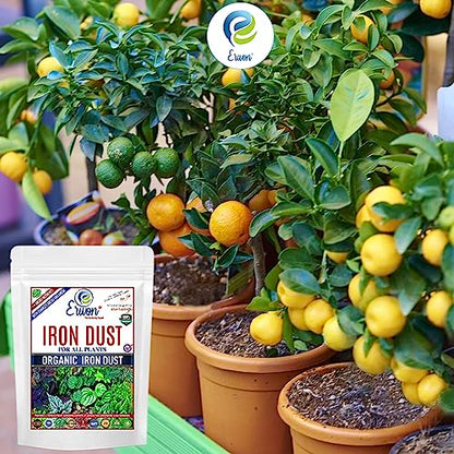 Erwon® Organic Iron Dust for All Plants, Magnetic Iron Oxide Powder for Overall Growth of Plants (200 gm)