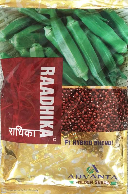 एडवांटा यूपीएल हाइब्रिड गोल्डन सीड राधिका लेडीफिंगर 300 पीसी