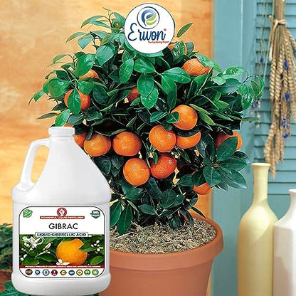 Erwon® Gibrac, Liquid Gibberellic acid Fertilizer for better growth of plants, fruits and vegetables. (500 ml)