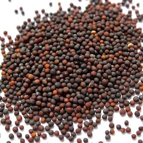 एडवांटा यूपीएल हाइब्रिड गोल्डन बॉर्डर 777 क्वालिफ्लॉवर बीज 50 पीसी