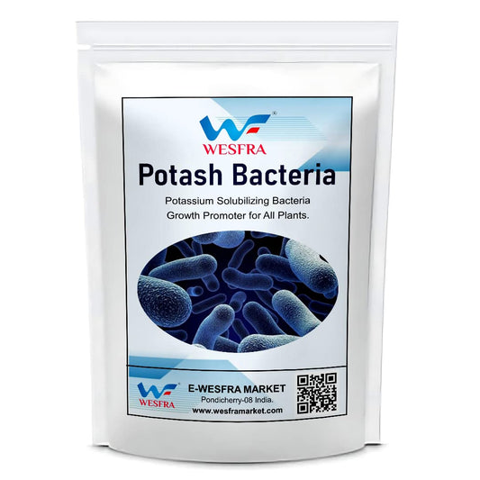 Bio Potash Bacteria Growth Promoter For All Plants-1kg Powder