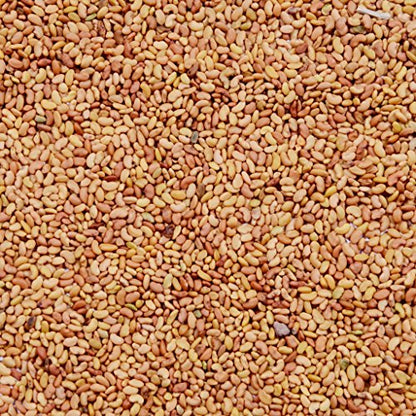 अल्फाल्फा के बीज 100 ग्राम