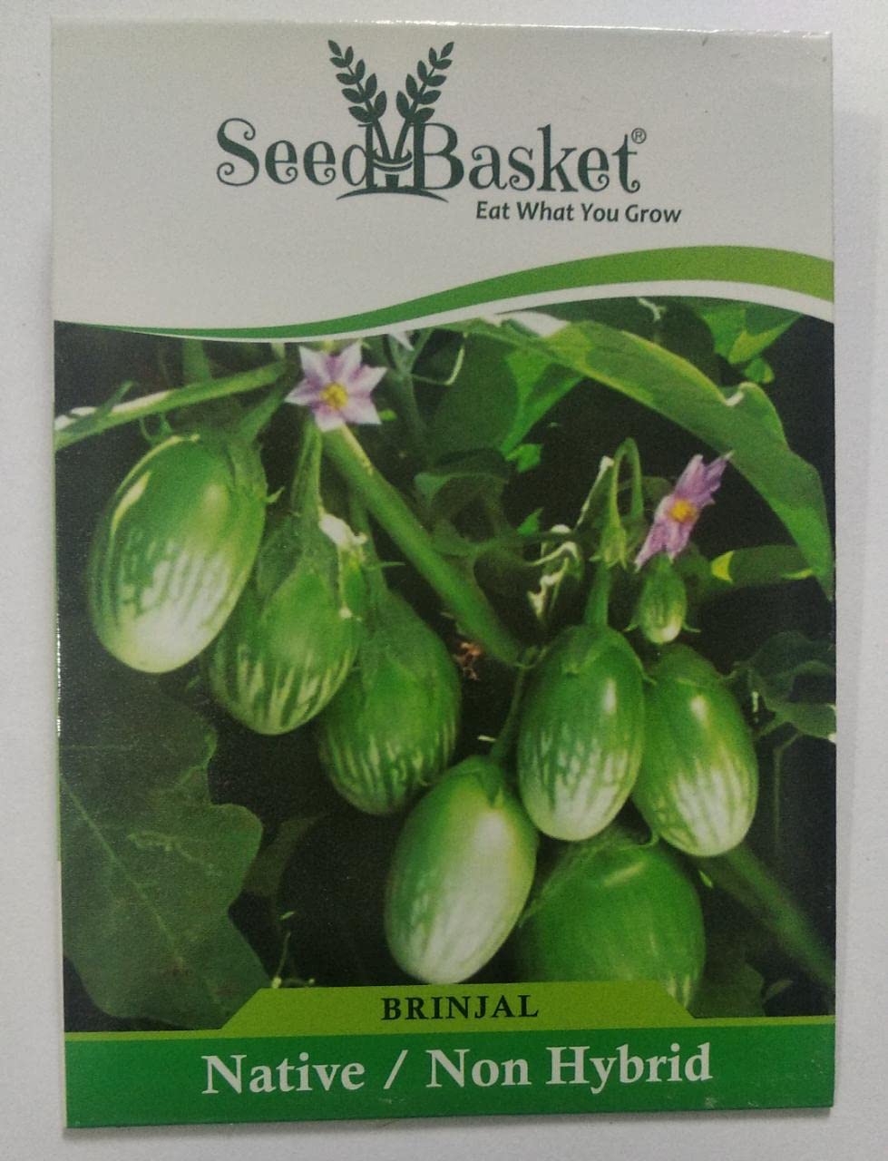 Native/Non-GMO Brinjal 3 Pack Brinjal Green, Brinjal Black Round, Brinjal Purple long Seeds for Gardening outside and terrace- Pack of 3