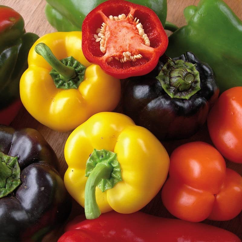 Radha Krishna Agriculture® Imported Capsicum Vegetable Seeds | Mix Capsicum Seed For Your Home Garden Pack of 50 Gram Seeds
