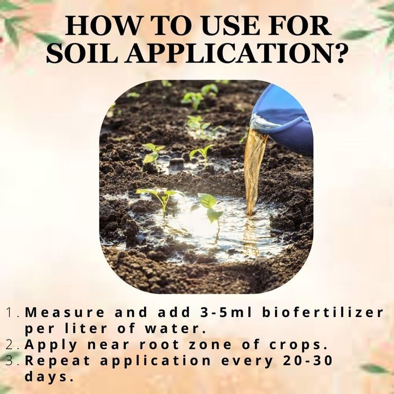 POTASSIUM BIOFERTILIZER - POTASSIUM MOLIBILIZING BACTERIA -ORGANIC FERTILIZER