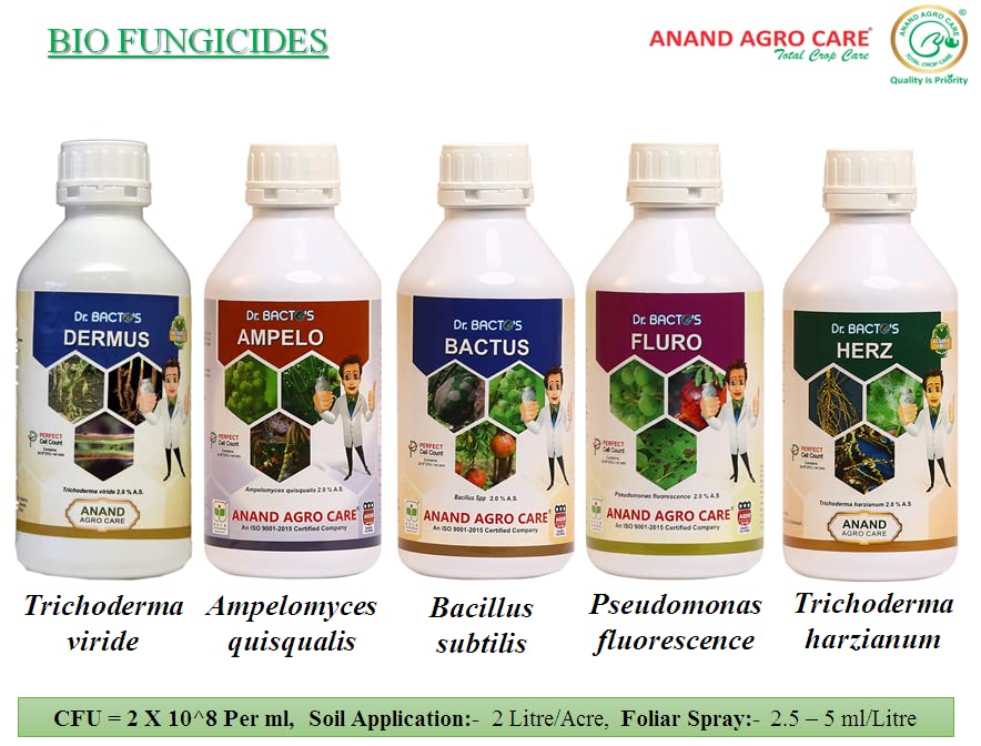 Dr. Bacto's BioSulf - Sulphur & Iron Solubilizing Bacteria