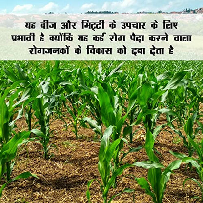 ट्रायकोडर्मा विराइड अँटी फंगल जैव खत (1 किलो)