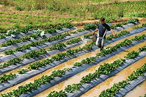 mulching paper