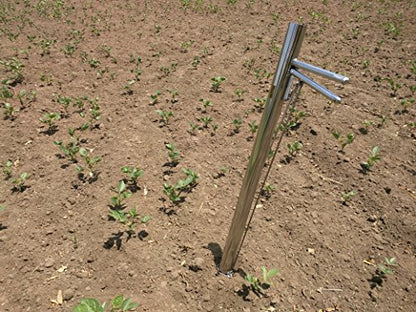 Hectare Vegetable Transplanter + Flowers and Bud Transplanter |Stainless Steel Material|