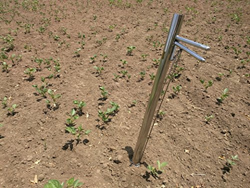 Hectare Vegetable Transplanter + Flowers and Bud Transplanter |Stainless Steel Material|