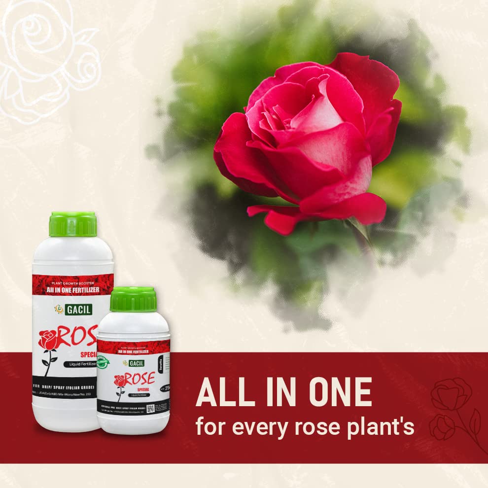 All in One rose fertilizer
