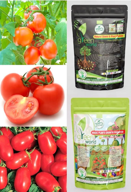 Green World Combo of [TOMATO VS 1 + TOMATO DAKSH SONA + TOMATO HEIRLOOM ROMA] Seeds With Organic Nutrients Manure