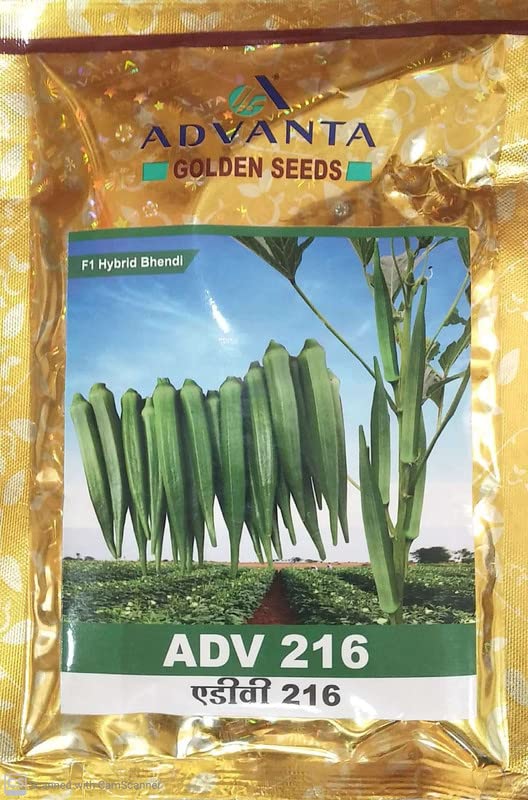 advanta upl hybrid golden seeds adv 216 ladyfinger 50 pcs