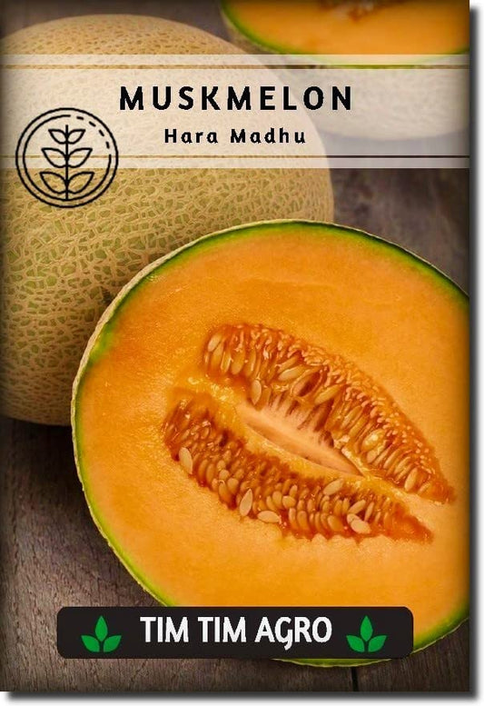 hara madhu muskmelon