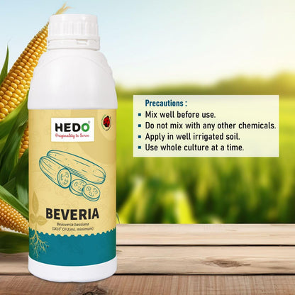 HEDO ब्यूवेरिया बेसियाना लिक्विड (1X10^8 CFU/Ml) बायो-ऑर्गेनिक (1L) पौधों के लिए एफिड्स, थ्रिप्स और व्हाइटफ़्लाइज़ को नियंत्रित करने के लिए