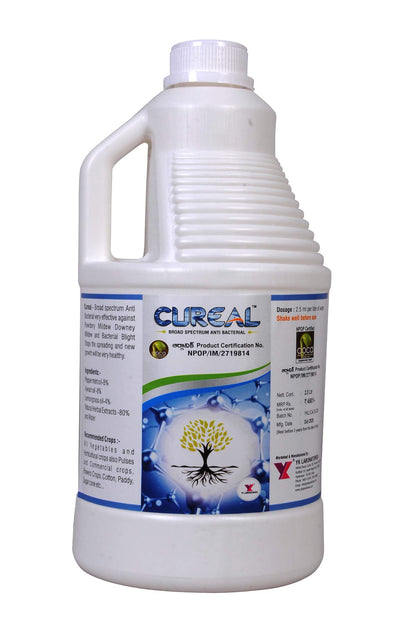 Yk Laboratories Cureal Organic Zinc Based Herbal Extraction|Organic Bactericide & Fungicide For Indoor & Outdoor Plants 2.5 L