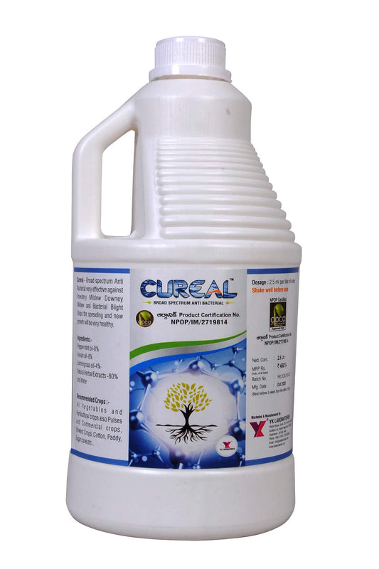 Yk Laboratories Cureal Organic Zinc Based Herbal Extraction|Organic Bactericide & Fungicide For Indoor & Outdoor Plants 2.5 L