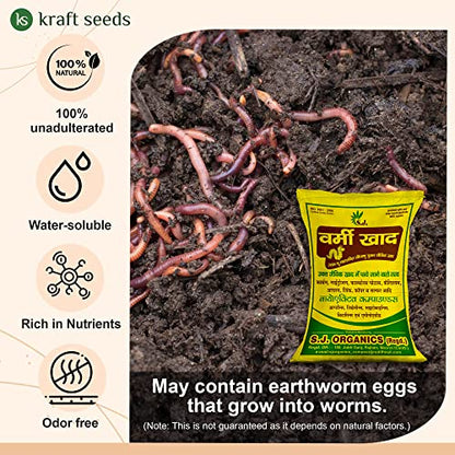 earthworm eggs
