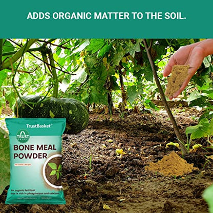 TrustBasket Organic Bone Meal for Plants Home Gardening | Steamed Bone Meal | Rich in Phosphorus and Calcium | Natural Plant Fertilizer| - 450 Grams (Set of 2)