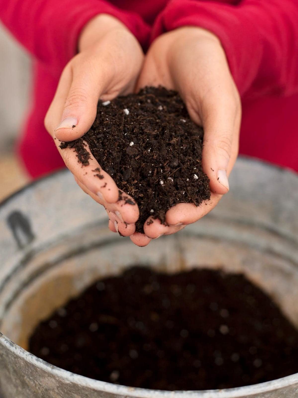 SDF INDIA Potting Mix Soil for Plants- 10 KG Soil Less All Purpose Ready to use Potting Mix Made with vermicompost/Neem Cake/Potash/River Sand/Bone Meal (10 KG)