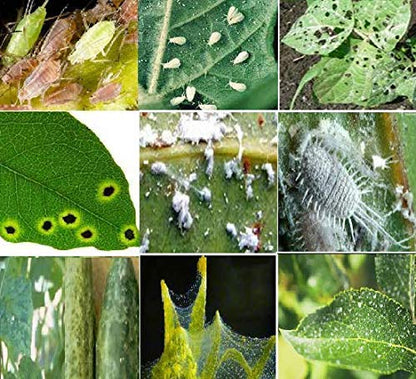 Neem Oil for Plant Pest Control - Organic Pesticide Plants and Flowers Use Insects Pesticides 100Ml