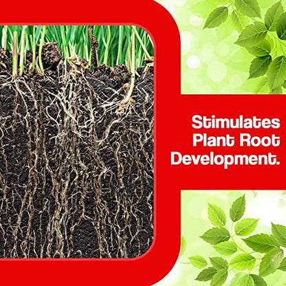 PATIL BIOTECH PRIVATE LIMITED OXYGEN Plant Growth Regulator Soil Conditioner, Improves Plant Root System (5 Liter)