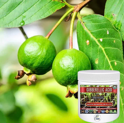 Erwon® Gibberellic Acid, Premium Essential Powerful Organic Growth booster for Plants(10 gm)