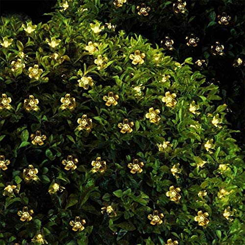 Epyz Solar Sakura Flower String Lights, 19.5ft 30 LED Blossom Flower String Light Solar Power for Decorations [ Warm Yellow Light , Pack of 1 ](Plastic)