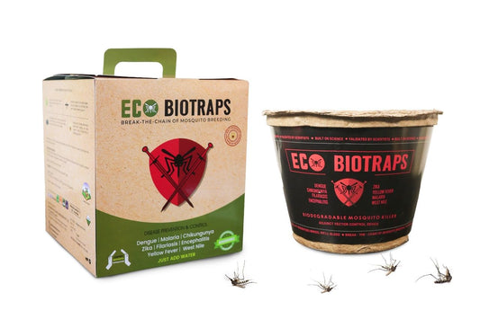 eco biotraps for mosquito control